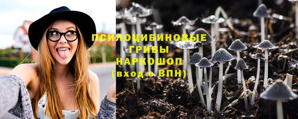 первитин Мегион