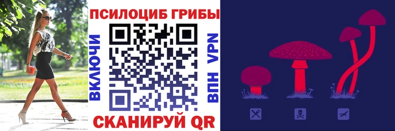 darknet состав  Пошехонье  Псилоцибиновые грибы Psilocybine cubensis 